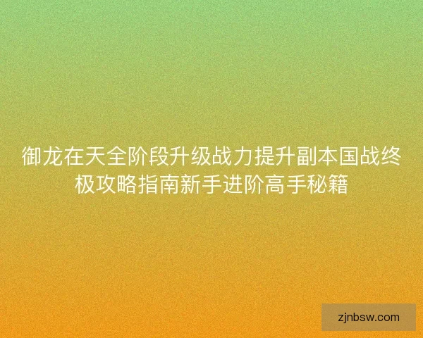 御龙在天全阶段升级战力提升副本国战终极攻略指南新手进阶高手秘籍